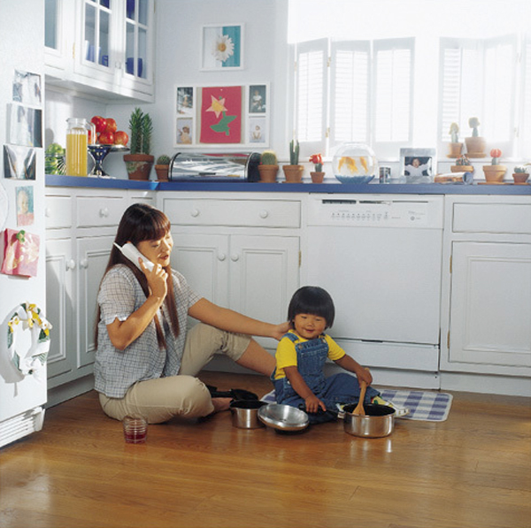 Triton dishwasher