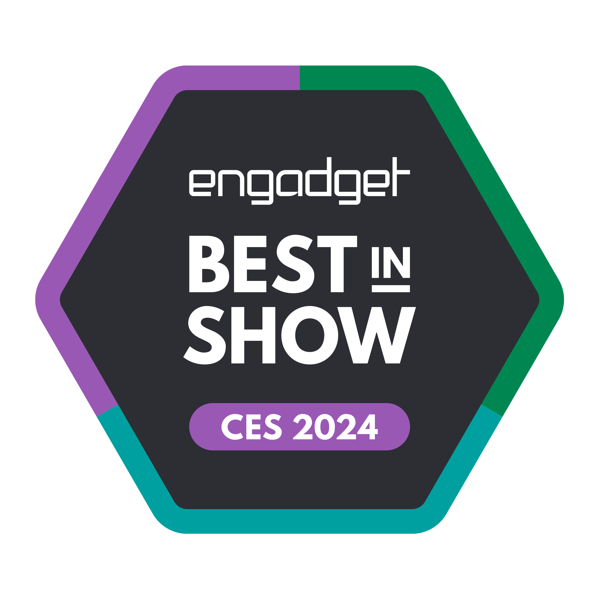 Engadget Best in Show CES 2024