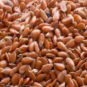 Bulk Seeds 100% Organic Brown Flax Seed - Single Bulk Item - 5lb Bulk Seeds 100% Organic Brown Flax Seed - Single Bulk Item - 5lb
