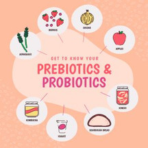 Natural Supplements Commonly Used for Gut Health Support