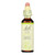 Bach Flower Remedies Essence Olive - 0.7 Fl Oz - J C Herbal Products