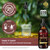 Wormwood & Black Walnut Tincture Liquid Extract 2 fl oz - J C Herbal Products