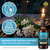 Valerian Root Tincture Liquid Extract 2 fl oz - J C Herbal Products