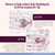 SEASON34 Menopause Beauty Blend for Women 40+ - J C Herbal Products
