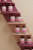 SEASON34 Menopause Beauty Blend for Women 40+ - J C Herbal Products