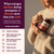 Multi-Symptom Menopause and Perimenopause Herbal Relief for Women 60 Ct - J C Herbal Products