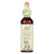Bach Flower Remedies Essence Impatiens - 0.7 Fl Oz - J C Herbal Products