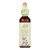 Bach Flower Remedies Essence Impatiens - 0.7 Fl Oz - J C Herbal Products