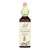 Bach Flower Remedies Essence Water Violet - 0.7 Fl Oz - J C Herbal Products