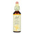 Bach Flower Remedies Essence Cerato - 0.7 Fl Oz