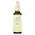 Bach Flower Remedies Essence Honeysuckle - 0.7 Fl Oz