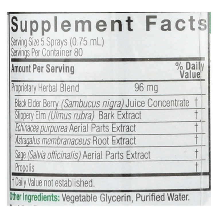 Nature's Answer - Sambucus Nigra Black Elder Berry Extract Spray - 2 Fl Oz Nature's Answer - Sambucus Nigra Black Elder Berry Extract Spray - 2 Fl Oz
