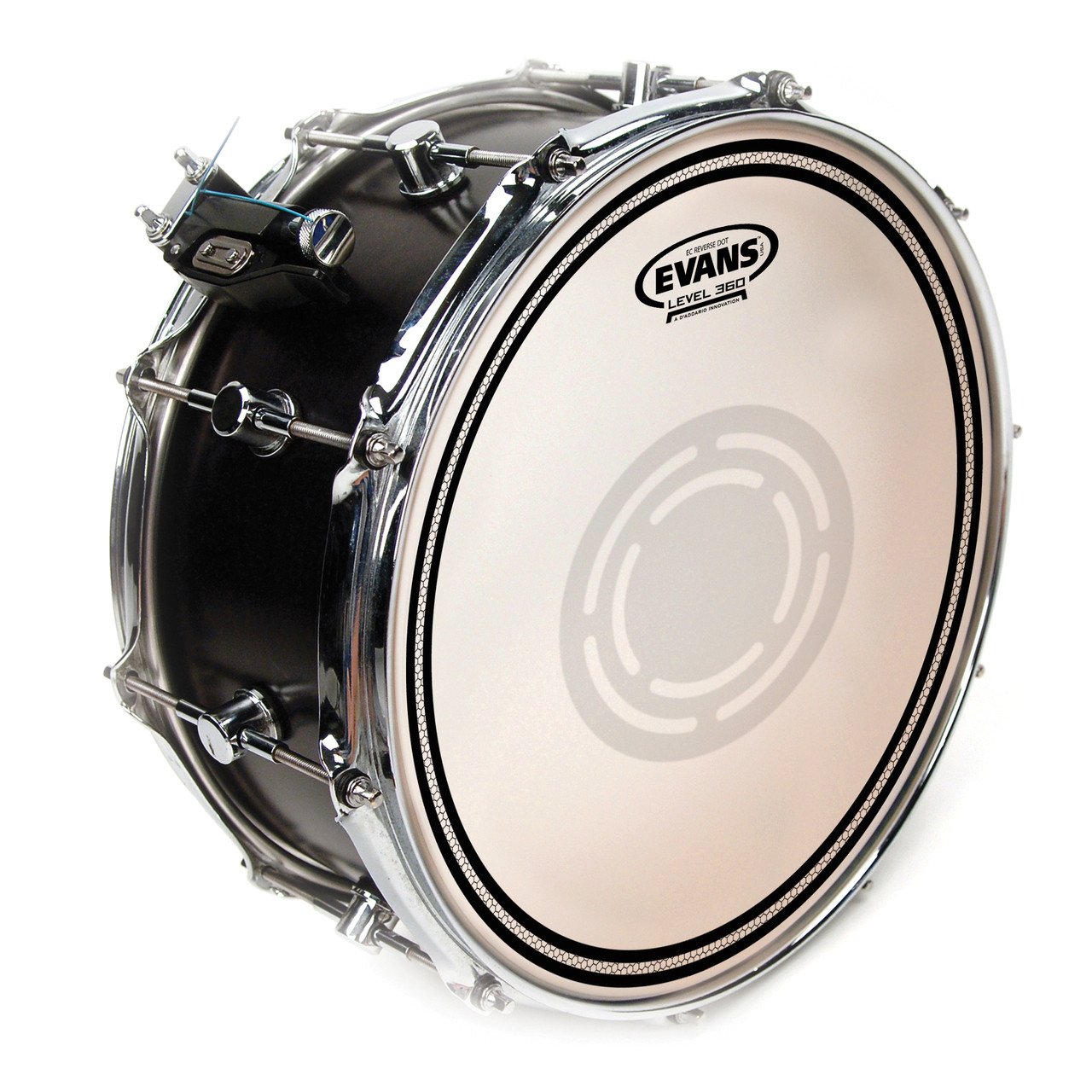 evans snare drum