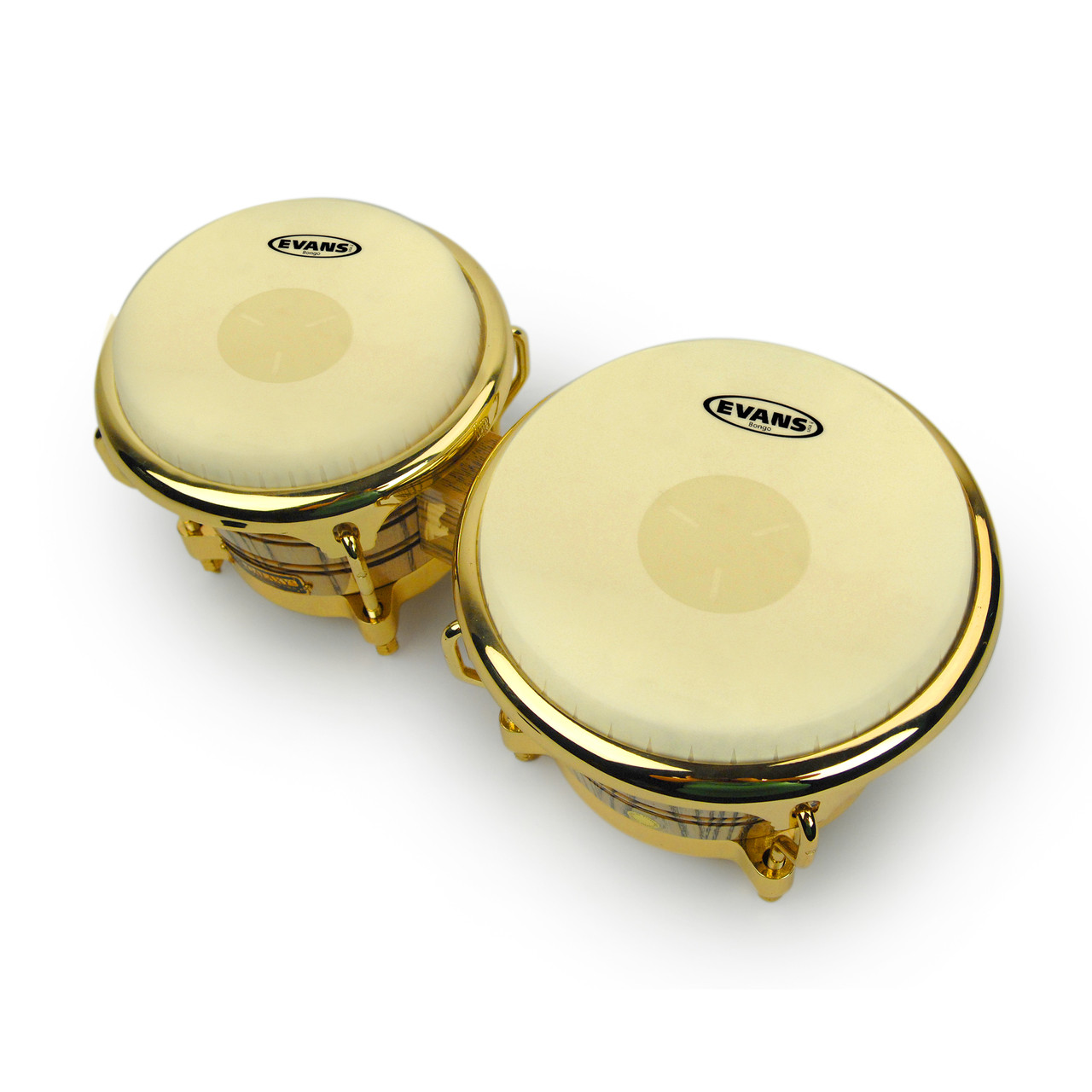 Evans TriCenter Bongo Drum Head, 7 1/4 Inch On sale at Guitar World