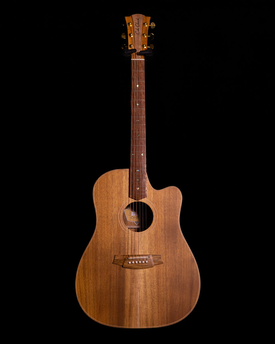 Cole Clark エレアコ　FL2EC-BLBL Cole Clark FL2EC-BLBL All Blackwood Acoustic Electric Dreadnought