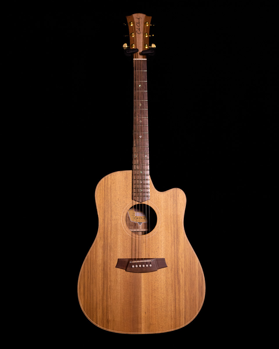 Cole Clark FL2EC-BLBL All Blackwood - Rosewood Acoustic Electric
