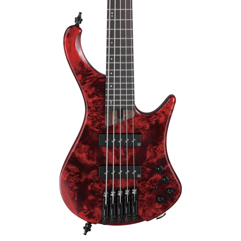 Ibanez EHB1505SWL Headless String Electric Bass Guitar Stained