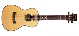 CORDOBA 22C S/T CONCERT UKE SP/RW GLOSS W/BAG