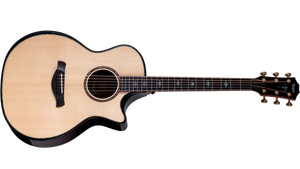 Taylor Next Generation Builder's Edition 914ce Lutz Spruce - Indian Rosewood