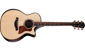 Next Generation Builder's Edition 814ce Indian Rosewood/Adirondack Spruce 2026
