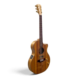 Cole Clark TL2EC-BLBLR-HUM all-blackwood Thinline acoustic guitar, three-quarter front view showing the bridge-position humbucker, top-mounted volume and tone knobs and the side preamp