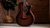 Taylor 362ce - Shaded Edgeburst