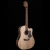 Classic  Dreadnought Cutaway Solid Bunya Top, Solid Blackwood B/S