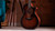 Taylor 322ce standing upright showing the full shaded edgeburst front