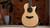 Taylor Next Generation Builder's Edition 914ce Lutz Spruce - Indian Rosewood