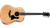 Taylor 117e Grand Pacific acoustic-electric guitar front view with torrefied spruce top and black pickguard
