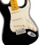 Maple fingerboard of the Fender American Professional Stratocaster in Black, fingerboard close-up with black dot inlays