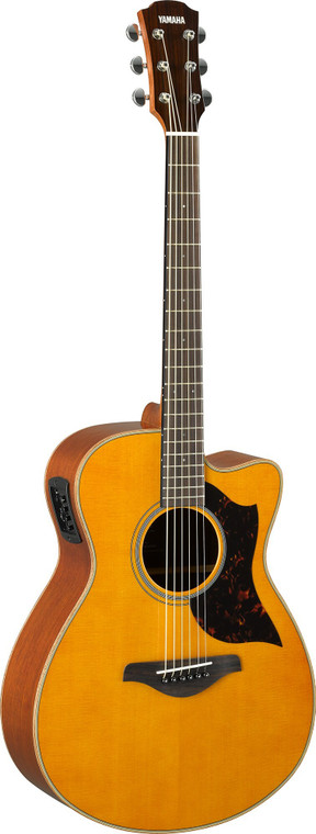 Yamaha AC1M concert cutaway in Vintage Natural, front view showing the solid Sitka spruce top and cutaway