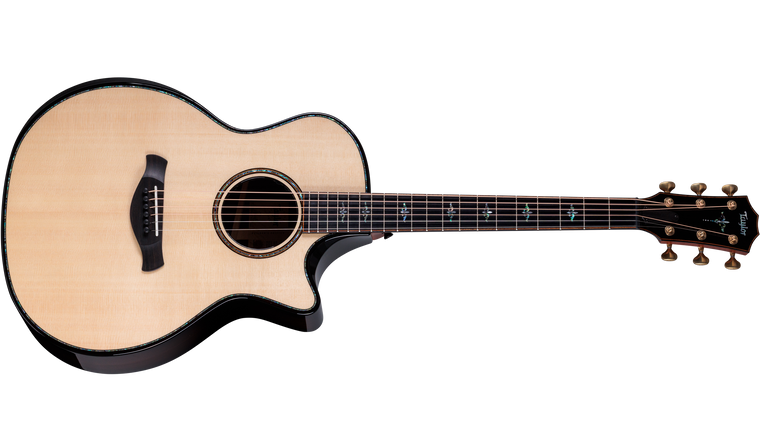 Taylor Next Generation Builder's Edition 914ce Lutz Spruce - Indian Rosewood