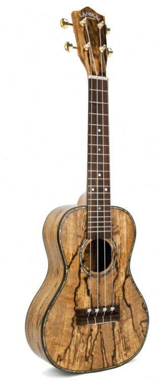 Shop online now for Lanikai LUSMCS Spalted Mango Concert Ukulele. Best Prices on Lanikai in Australia at Guitar World.