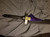 Destiny Exotic Swords  Prop