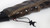 Destiny Touch Of Malice Prop