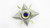 Ghost Sigira shell