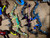 Wraith of the Ancients Bows
