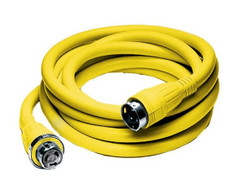Hubbell 61CM42 50A 250V 25ft Cordset