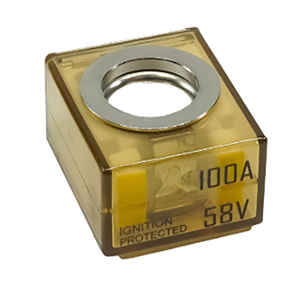 Egis MRBF Terminal Fuse - 100 Amp