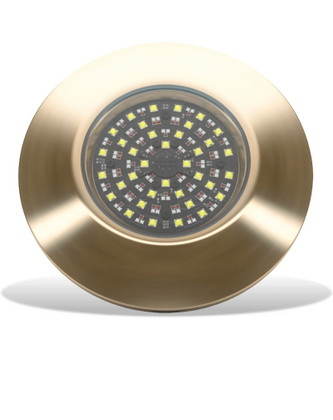 Lumishore EOS THX1604 Thru-Hull Mount and Driver RGBW LED