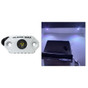 Black Oak Rock Accent Light - White LEDs - White Housing