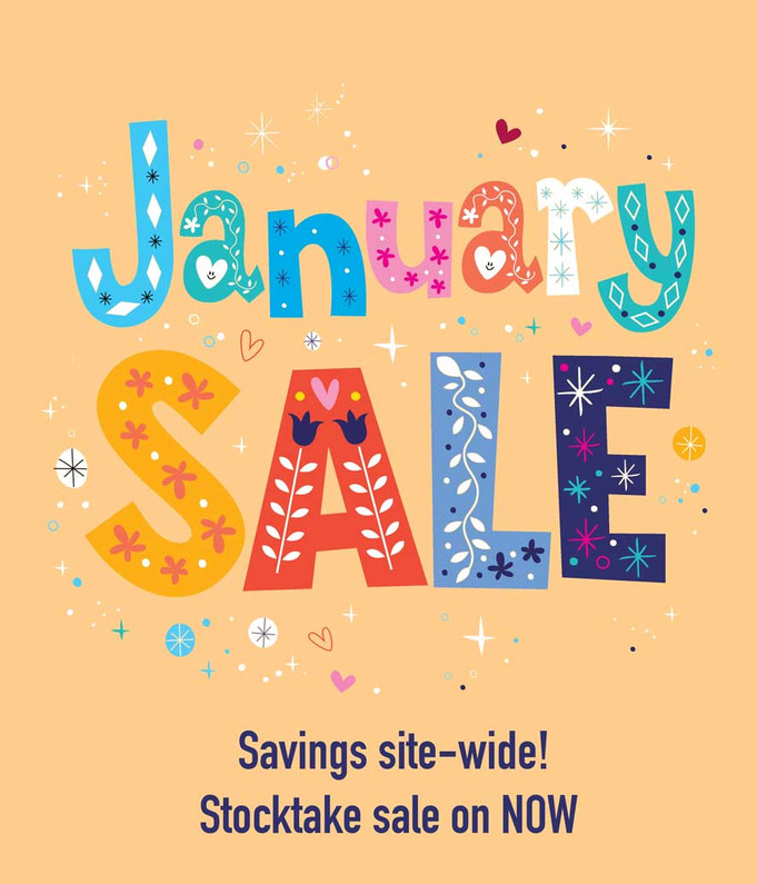 January Toy Stocktake Sale