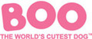 Boo the World's Cutest Dog