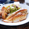 Rockfish Fillet