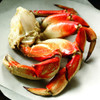 Dungeness Crab