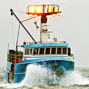 2024 Bristol Bay King Crab Fishery Opens October 15th