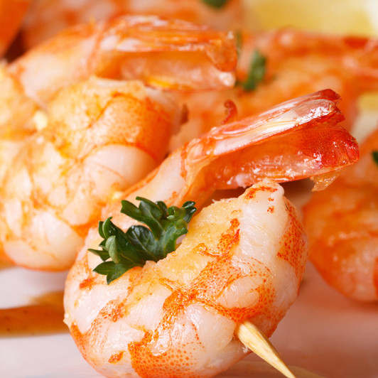 Giant Spot Shrimp