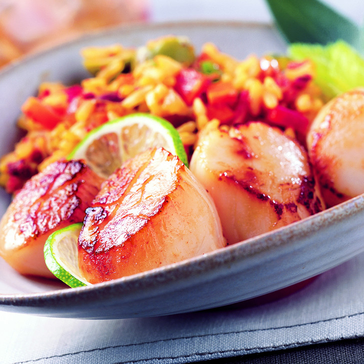 Large Scallops