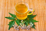 Valerian Root Tea
